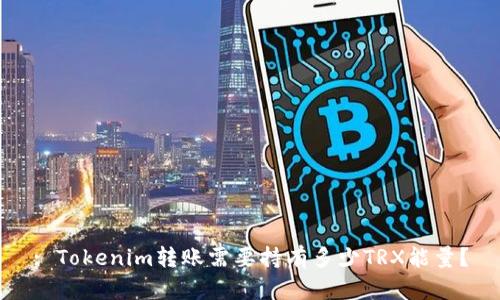 : Tokenim转账需要持有多少TRX能量？