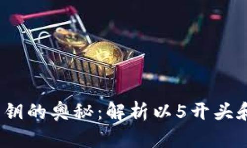 比特币钱包私钥的奥秘：解析以5开头和K开头的私钥