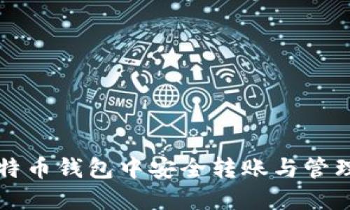 如何在比特币钱包中安全转账与管理数字资产