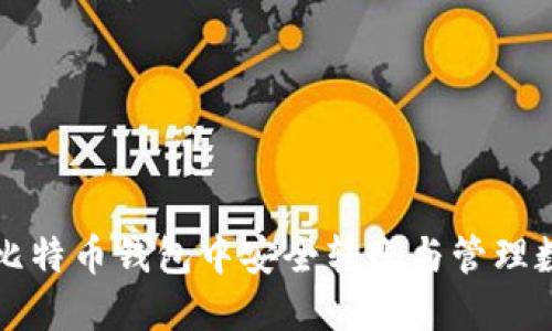 如何在比特币钱包中安全转账与管理数字资产