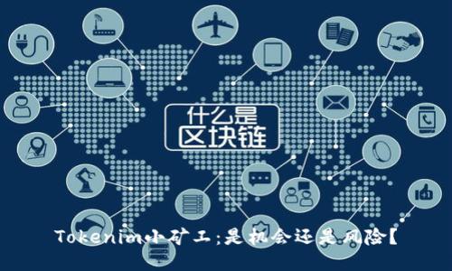 Tokenim小矿工：是机会还是风险？