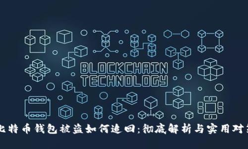 比特币钱包被盗如何追回：彻底解析与实用对策