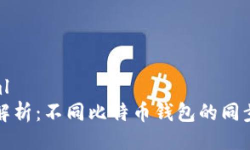 ```xml
深入解析：不同比特币钱包的同步问题