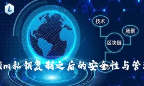Tokenim私钥复制之后的安全性与管理策略