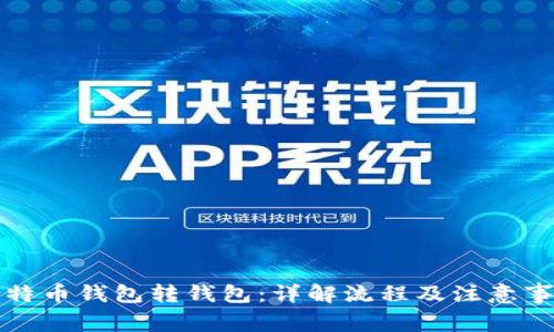 比特币钱包转钱包：详解流程及注意事项