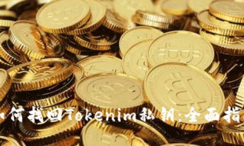 如何找回Tokenim私钥：全面指南