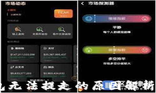 
USDT到钱包无法提走的原因解析与解决方案