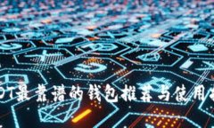 USDT最靠谱的钱包推荐与使用指南