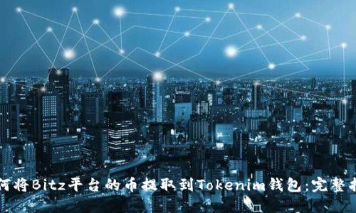 如何将Bitz平台的币提取到Tokenim钱包:完整指南