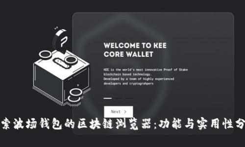 探索波场钱包的区块链浏览器:功能与实用性分析