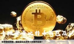 如何安全地登录比特币钱包及访问网址