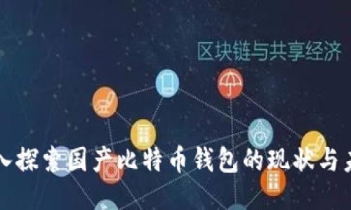 深入探索国产比特币钱包的现状与未来