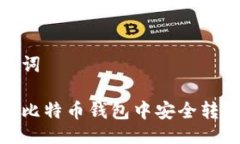 与关键词如何从比特币钱包中安全转出资金