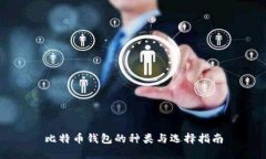 比特币钱包的种类与选择指南