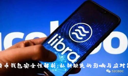 比特币钱包安全性解析:私钥缺失的影响与应对策略