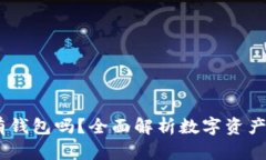 USDT支持所有钱包吗？全面解析数字资产的存储与