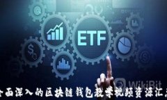 全面深入的区块链钱包教学视频资源汇总