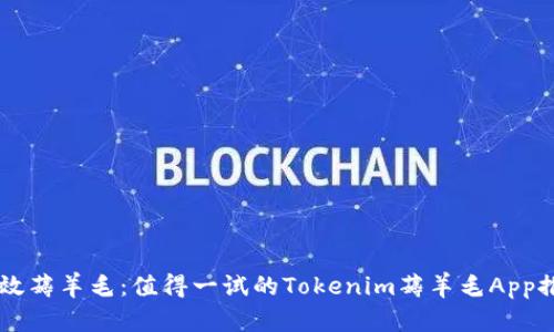 高效薅羊毛:值得一试的Tokenim薅羊毛App推荐