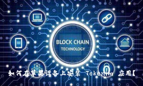 如何在苹果设备上安装 Tokenim 应用?