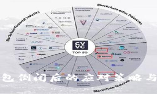 比特币钱包倒闭后的应对策略与风险管理
