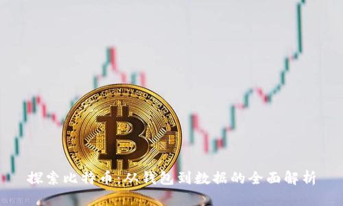 探索比特币:从钱包到数据的全面解析