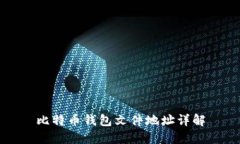 比特币钱包文件地址详解