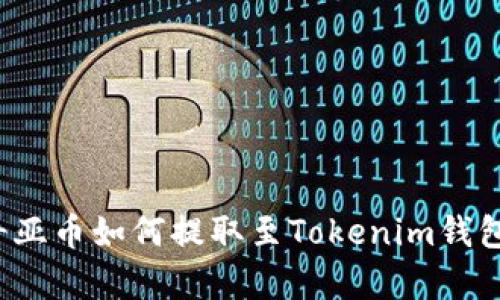 奇亚币如何提取至Tokenim钱包？