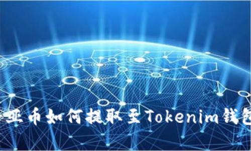 奇亚币如何提取至Tokenim钱包？