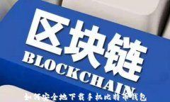 如何安全地下载手机比特币钱包