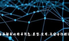 全面解析比特币钱包：类型、使用、及安全性探