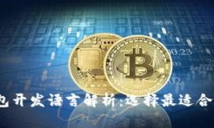  区块链钱包开发语言解析：选择最适合你的技术