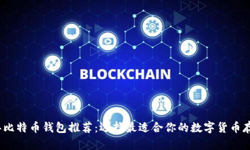 2020年比特币钱包推荐:选择最适合你的数字货币存储方案