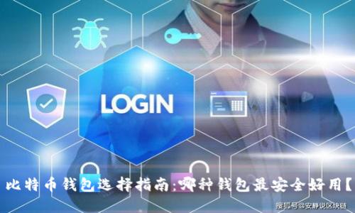 比特币钱包选择指南:哪种钱包最安全好用?