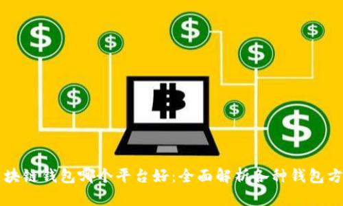 区块链钱包哪个平台好:全面解析各种钱包方案