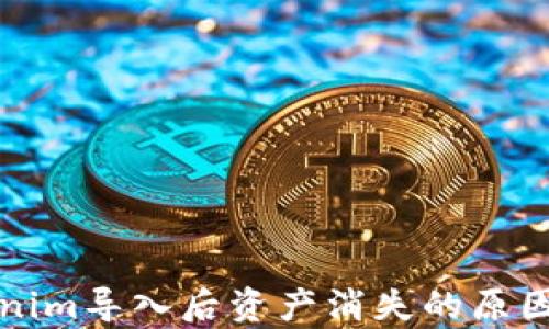 Tokenim导入后资产消失的原因解析