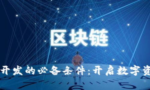 区块链钱包开发的必备条件:开启数字资产安全之门